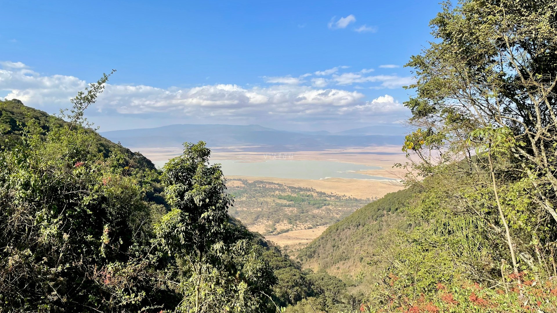 Cráter de Ngorongoro