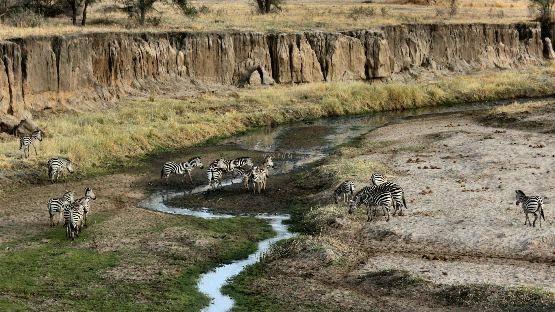 Parque Nacional del Tarangire