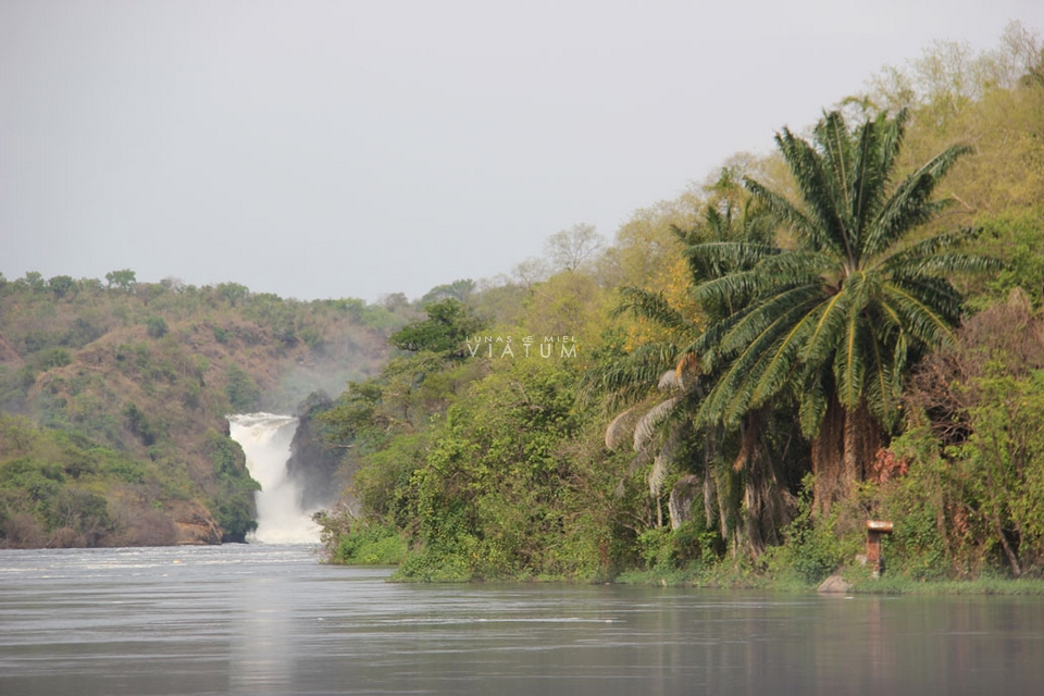 Visita Parque Nacional Murchison Falls