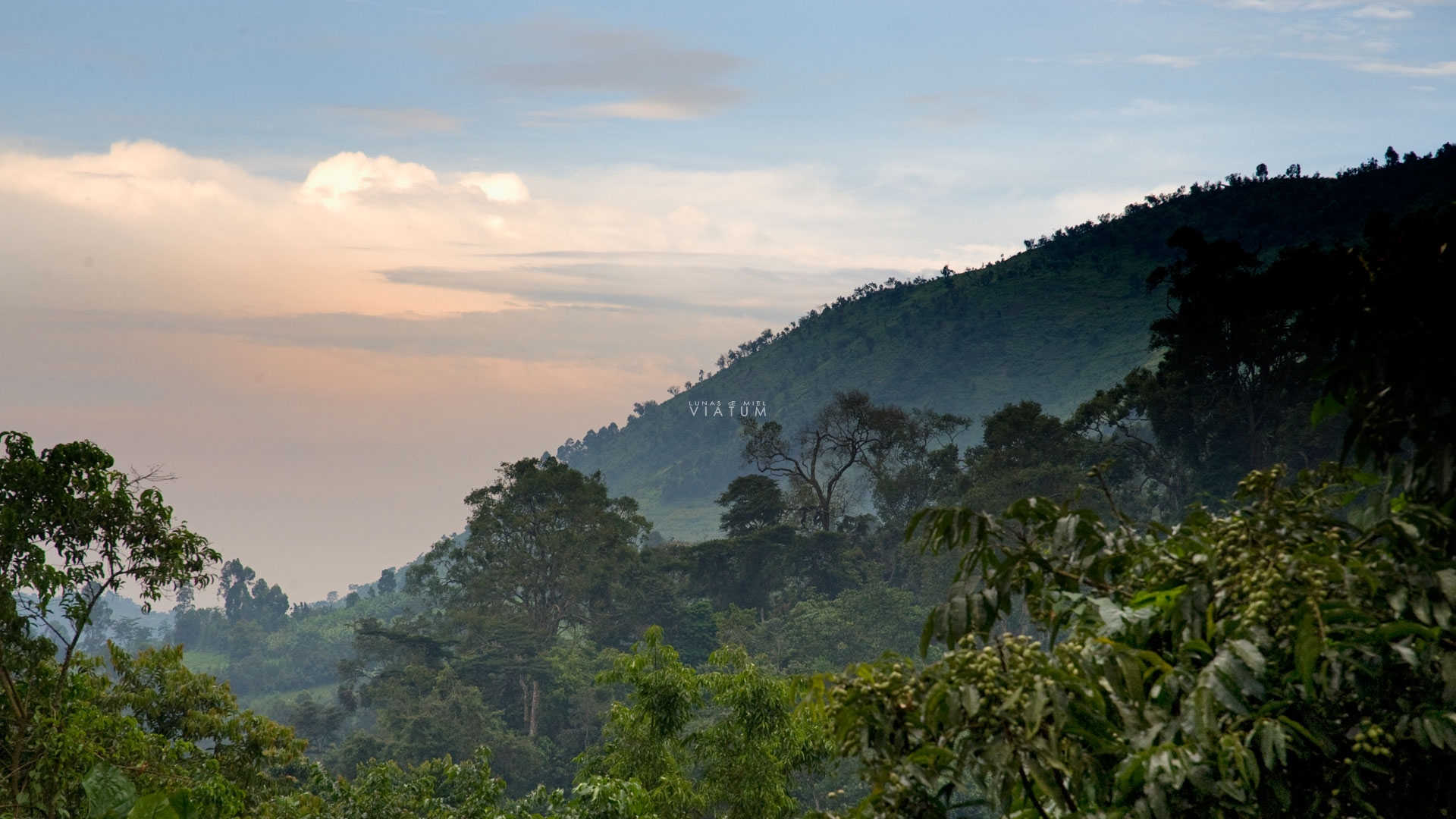 Dia 8: Queen Elizabeth - Bwindi