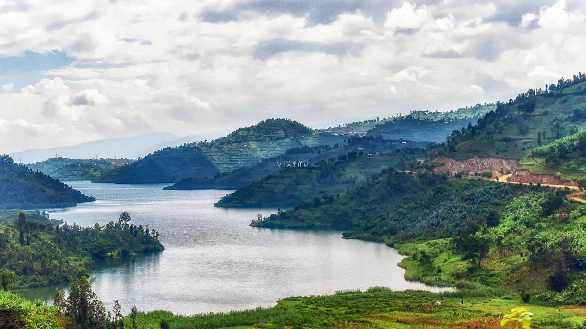 Dia 11: Parque Nacional de los Volcanes - Lago Kivu Kibuye