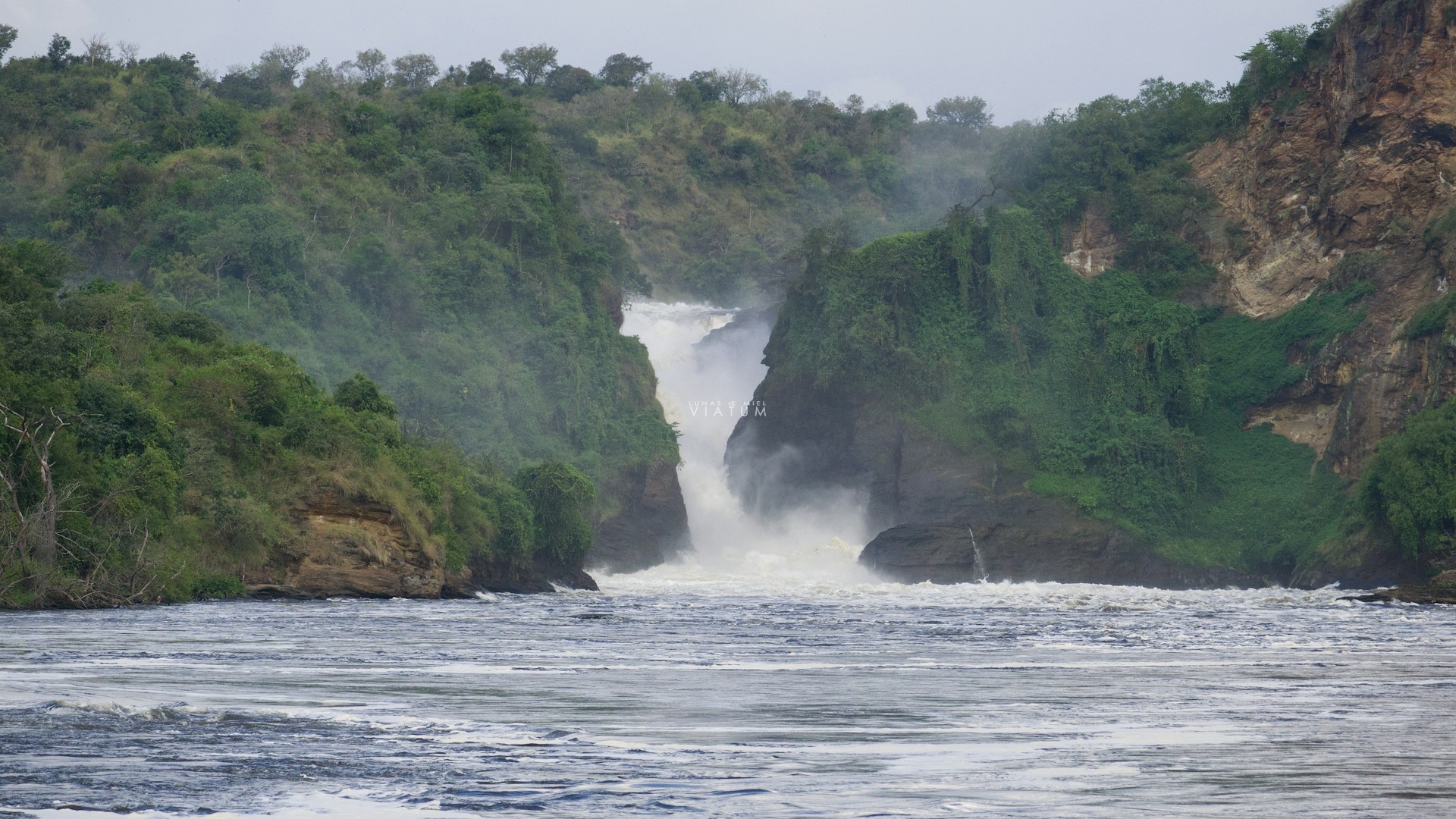 Dia 3: Entebbe - Cataratas Murchison