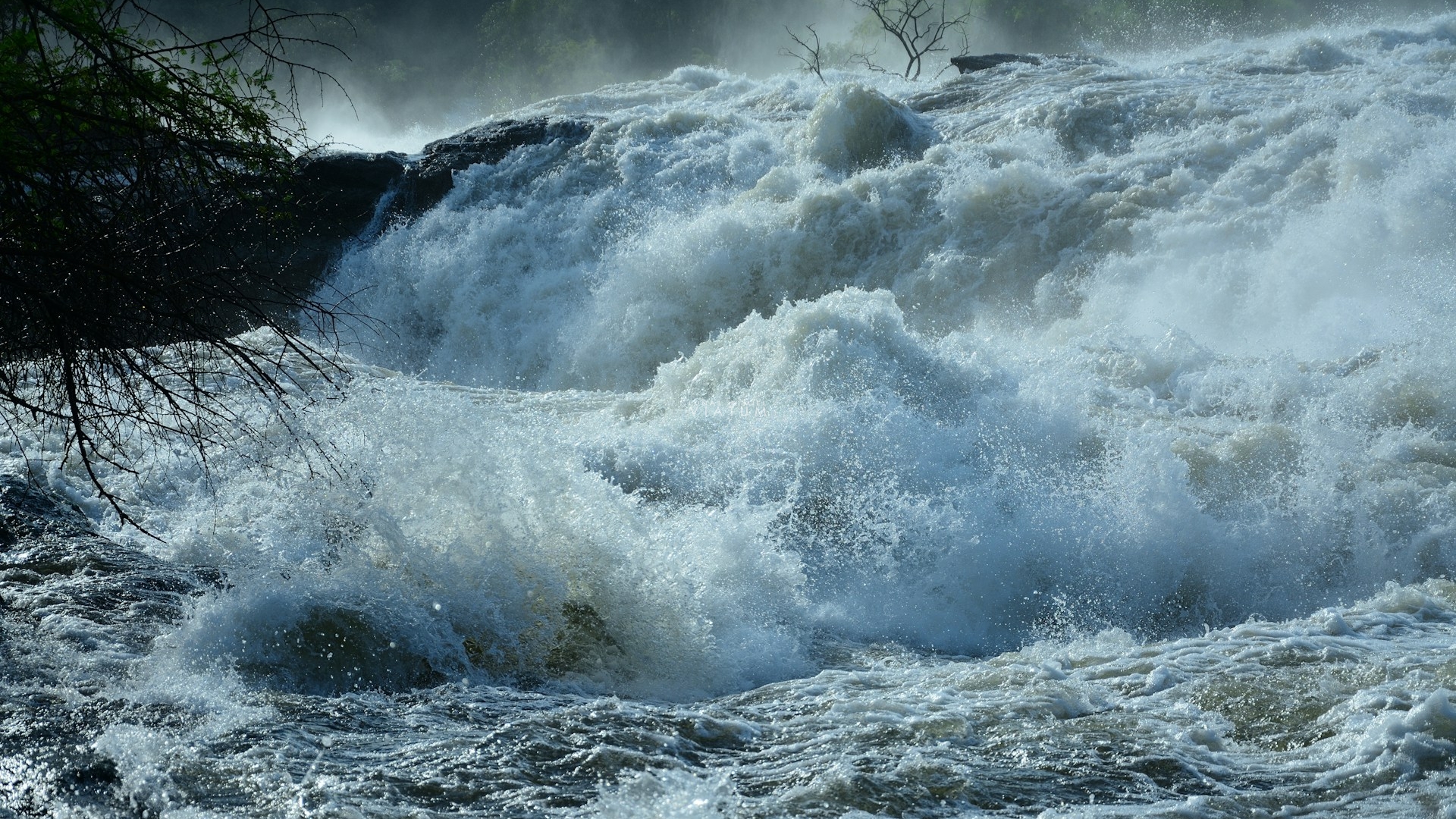 Dia 3: Entebbe - Cataratas Murchinson