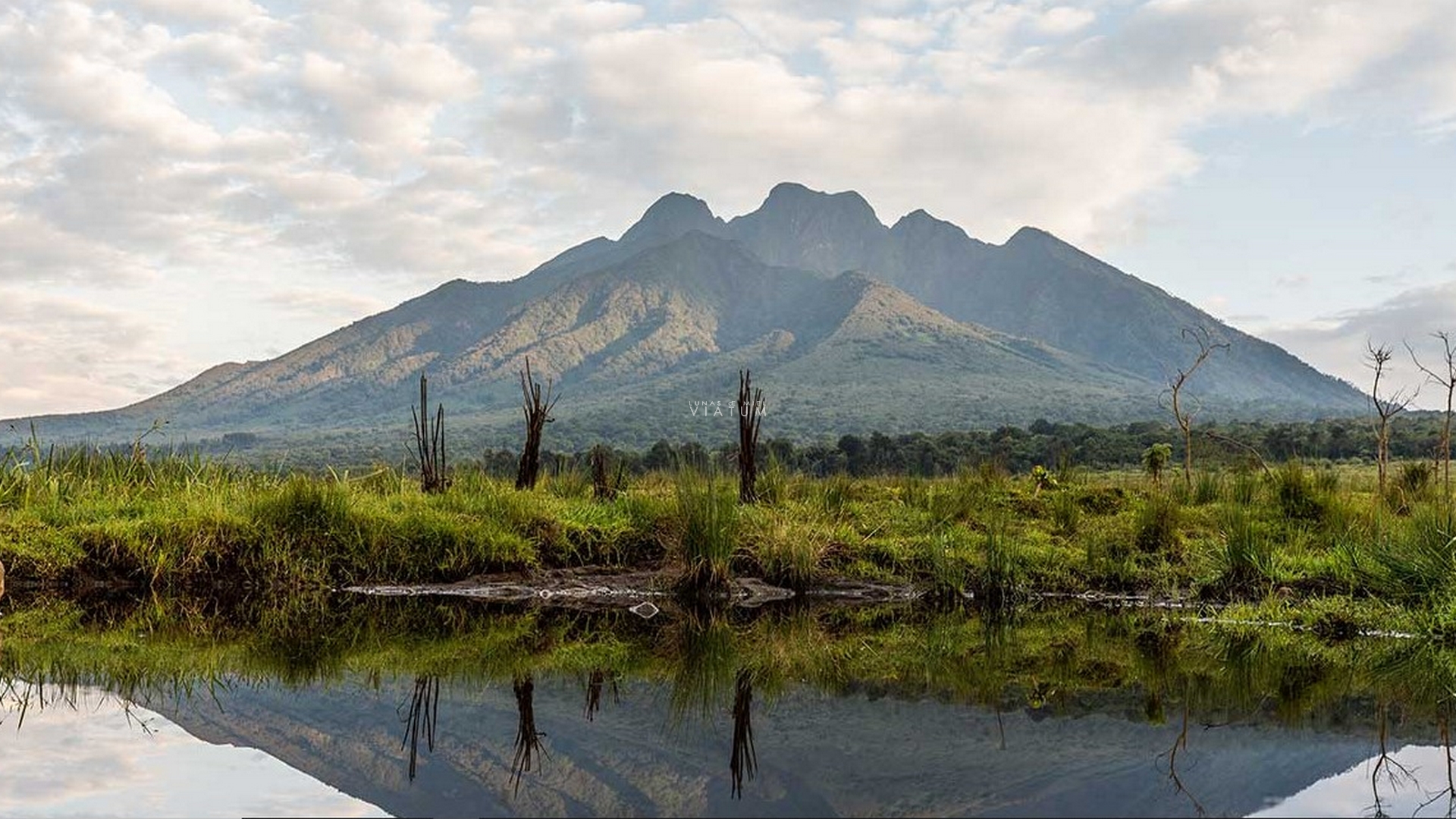 Dia 10: Bwindi o Mgahinga - Parque Nacional de los Volcanes