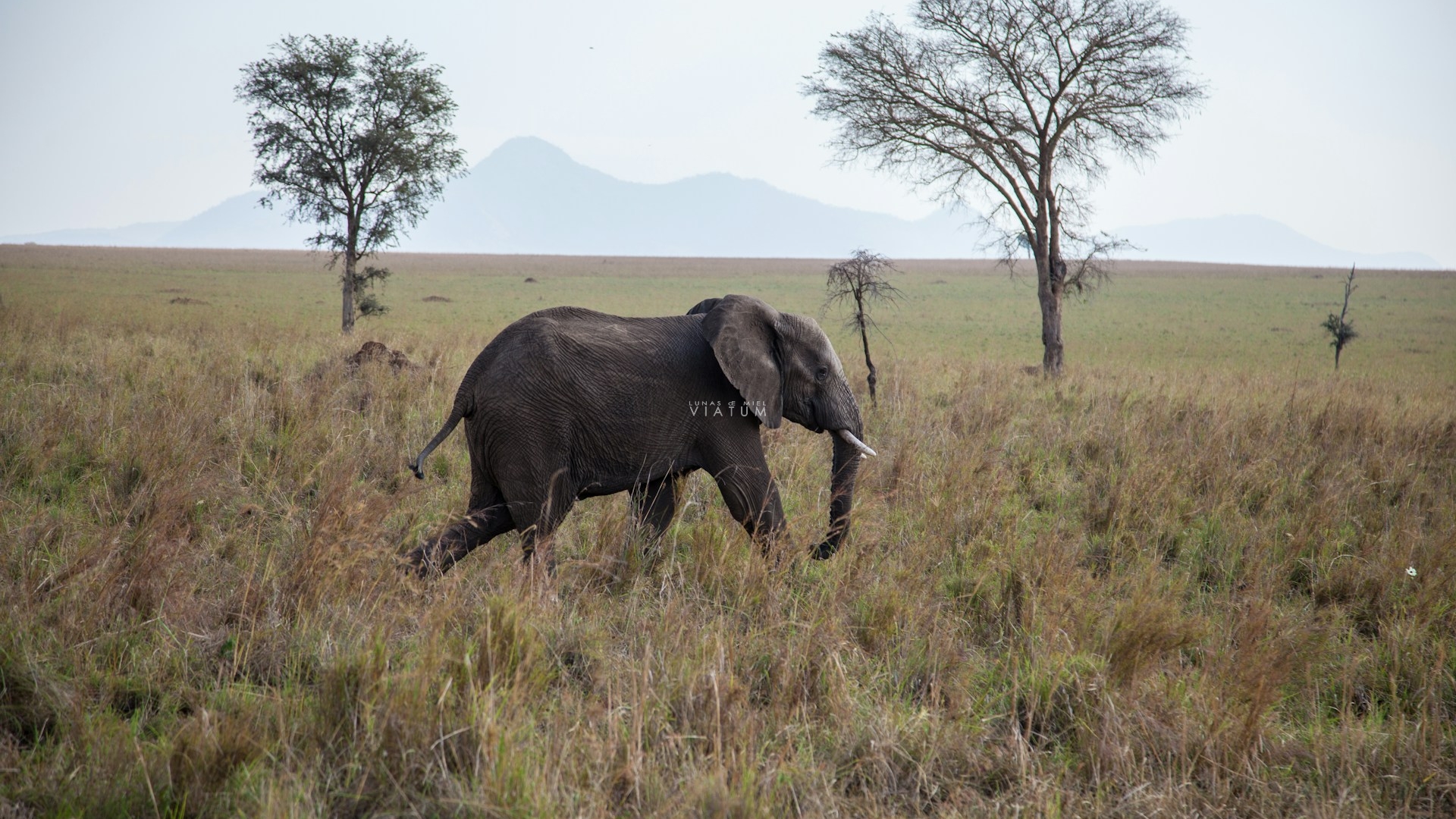 Dia 6: Kaabong - Kidepo