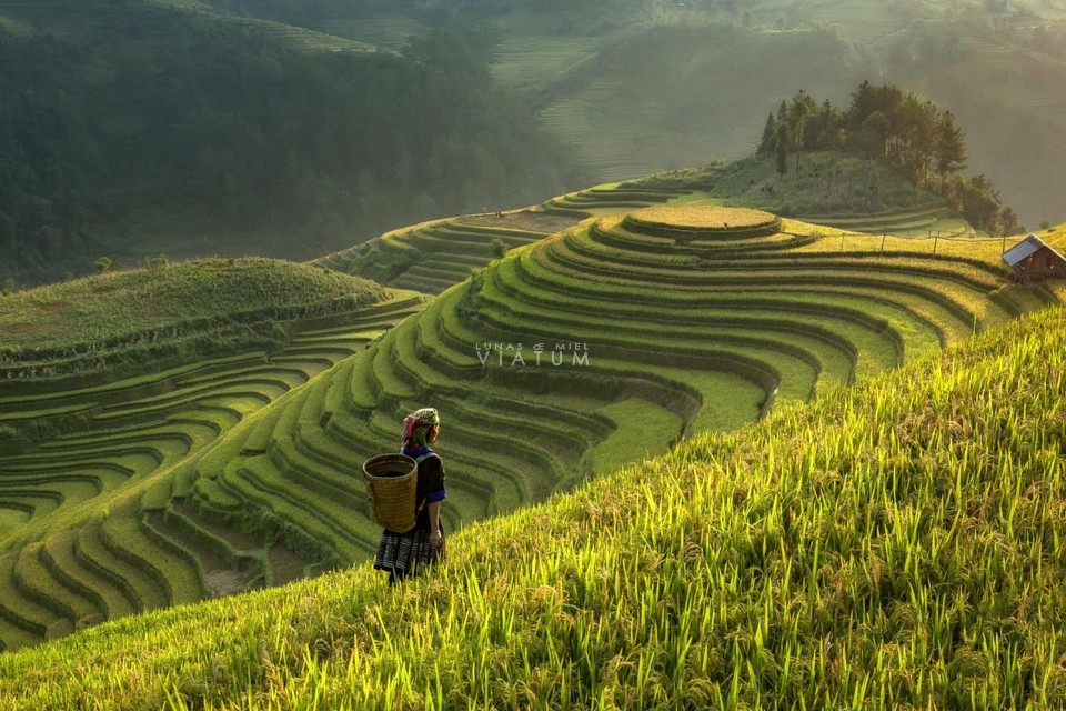 Visita valle de Muong Hoa