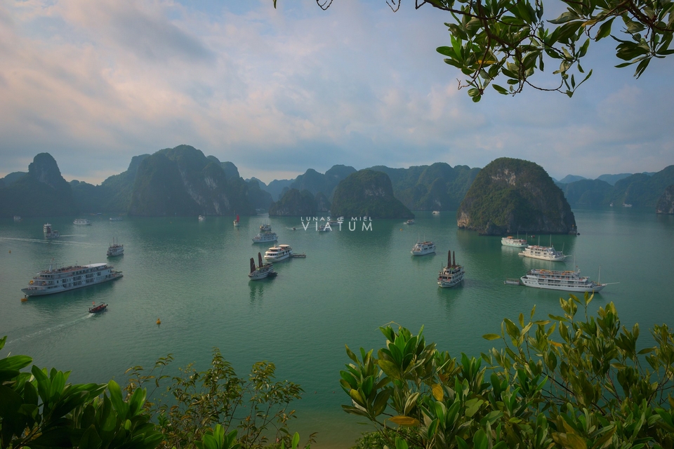 Crucero por la Bahía de Halong