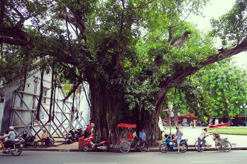 Paseo en Ciclo en Hanoi 