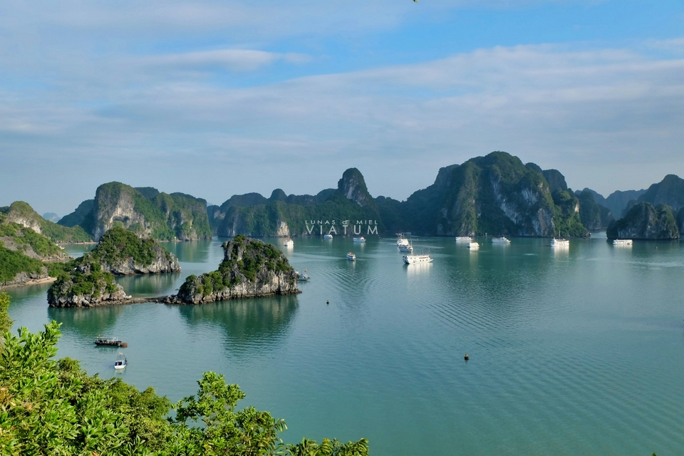 Crucero por la Bahía de Halong