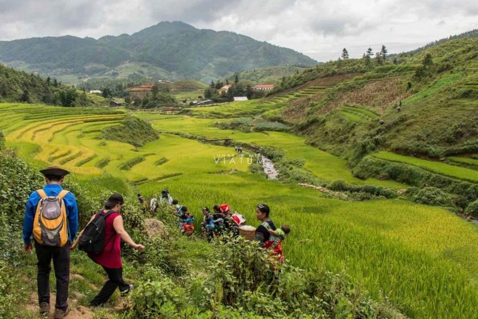 Visita valle de Muong Hoa