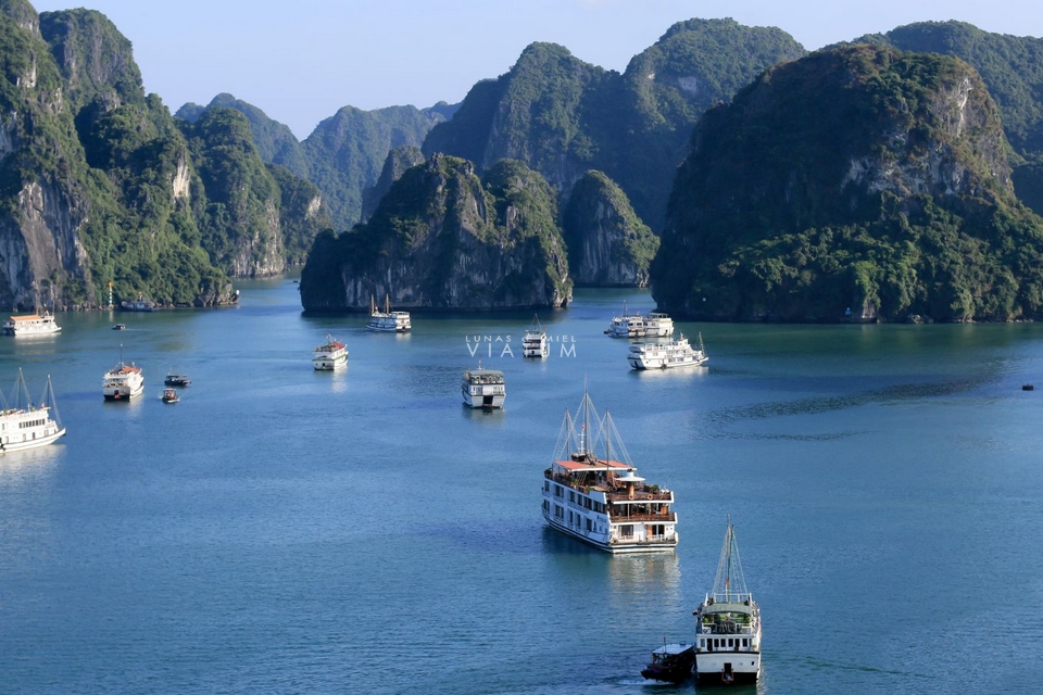 Crucero por la Bahía de Halong