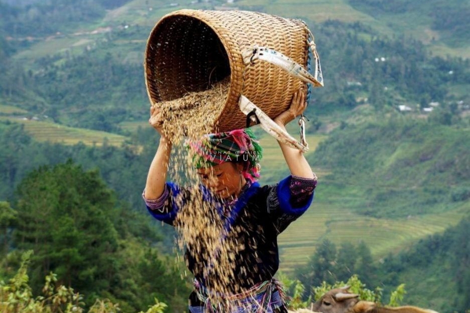 Visita Valle de Muong Hoa