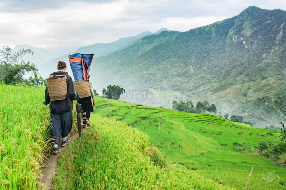 Visita valle de Muong Hoa