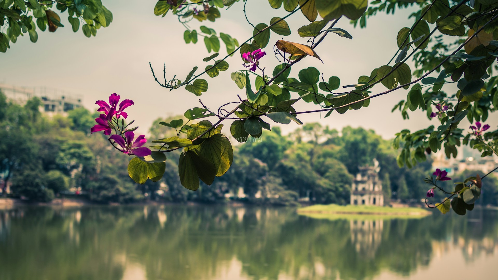 Dia 4: Hanoi - Tren Nocturno a Lao Cai