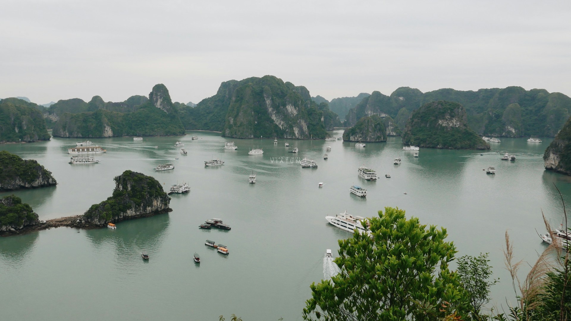 Bahía de Ha Long