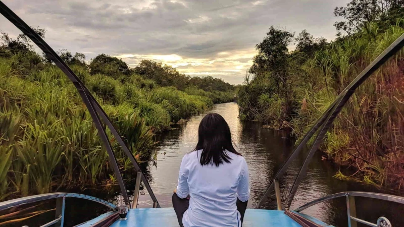 Luna de Miel en Indonesia: Borneo, Java, Bali y Komodo