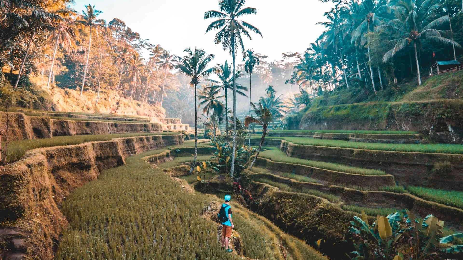 Luna de Miel en Indonesia: Java, Komodo, Flores y Bali