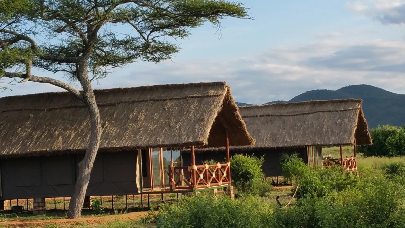 Tarangire Simba Lodge