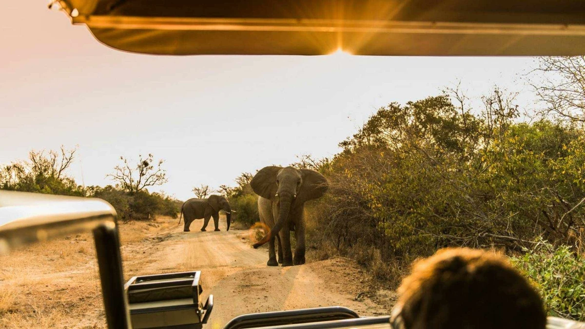 Luna de Miel en Sudáfrica y Zimbabwe