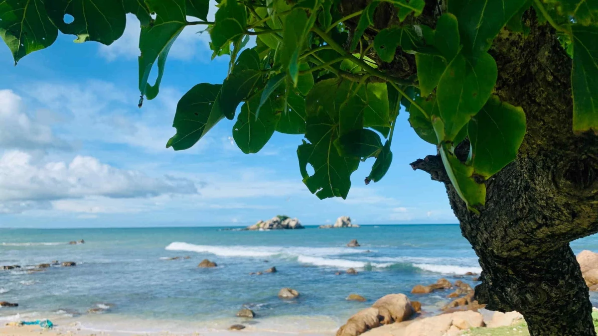 Luna de Miel en Sri Lanka: Playas