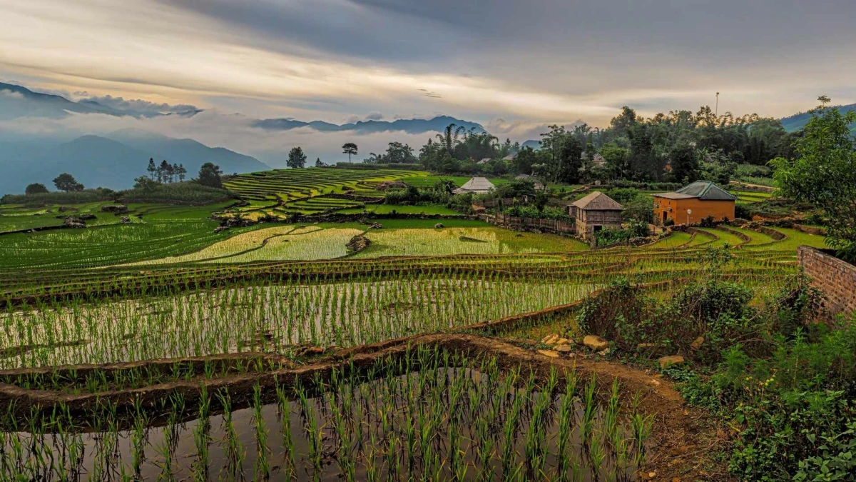 Luna de Miel en Vietnam: Norte y Centro