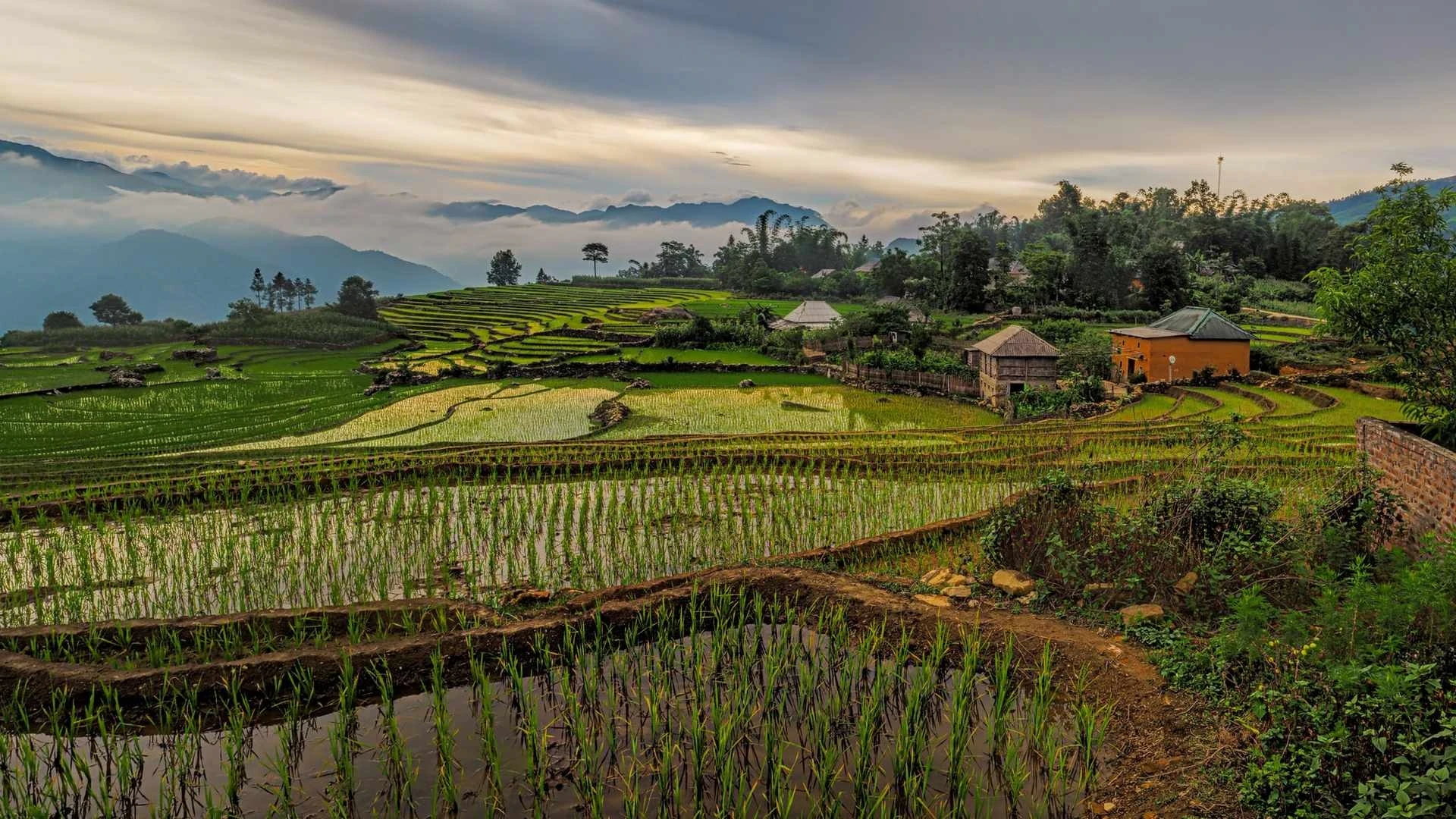 Luna de Miel en Vietnam: Norte y Centro