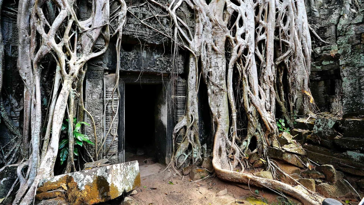 Luna de Miel en Camboya y Vietnam