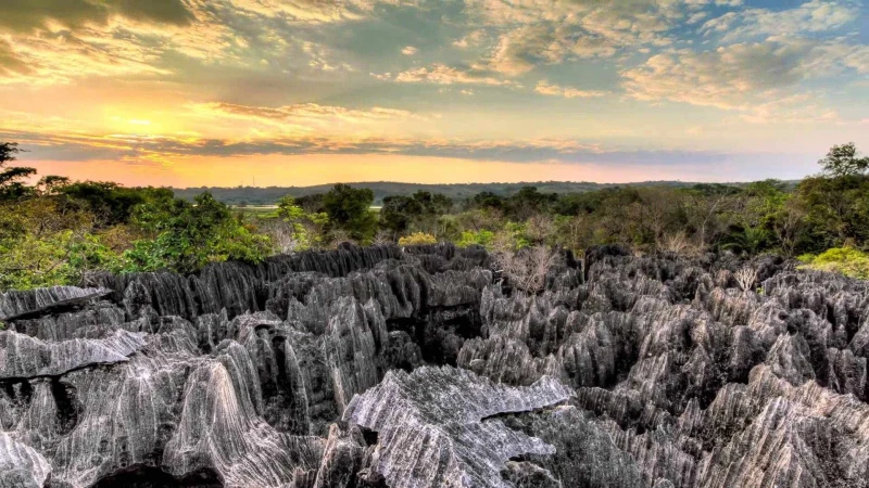 Luna de Miel en Madagascar: Fauna y Tsingys