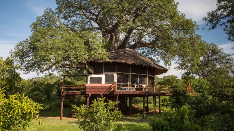 Elewana Tarangire Treetop