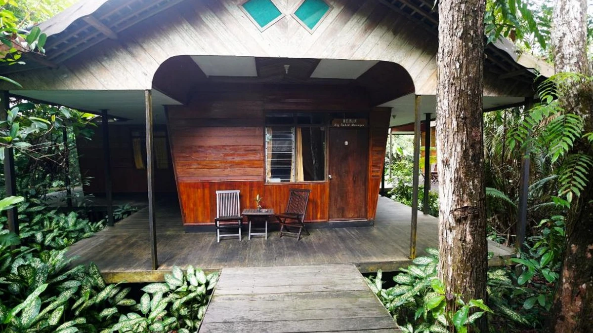 Rimba Orangutan Eco Lodge