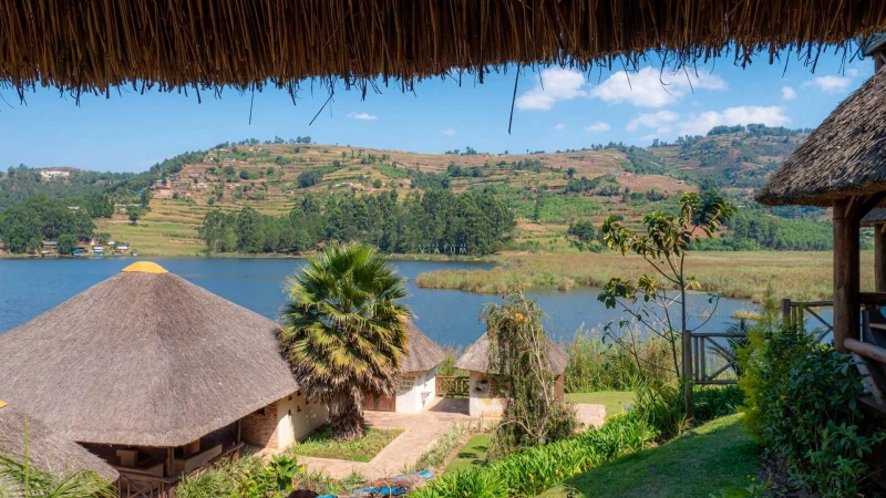 Birdnest Bunyonyi Resort