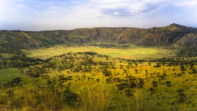 Uganda: La emoción de mirar a los ojos a un gorila y mucho más